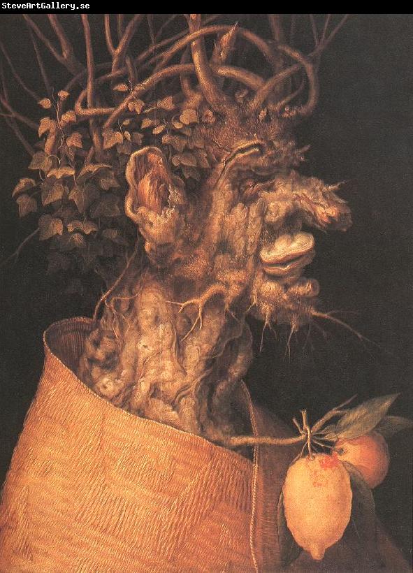 ARCIMBOLDO, Giuseppe Winter  fggfg